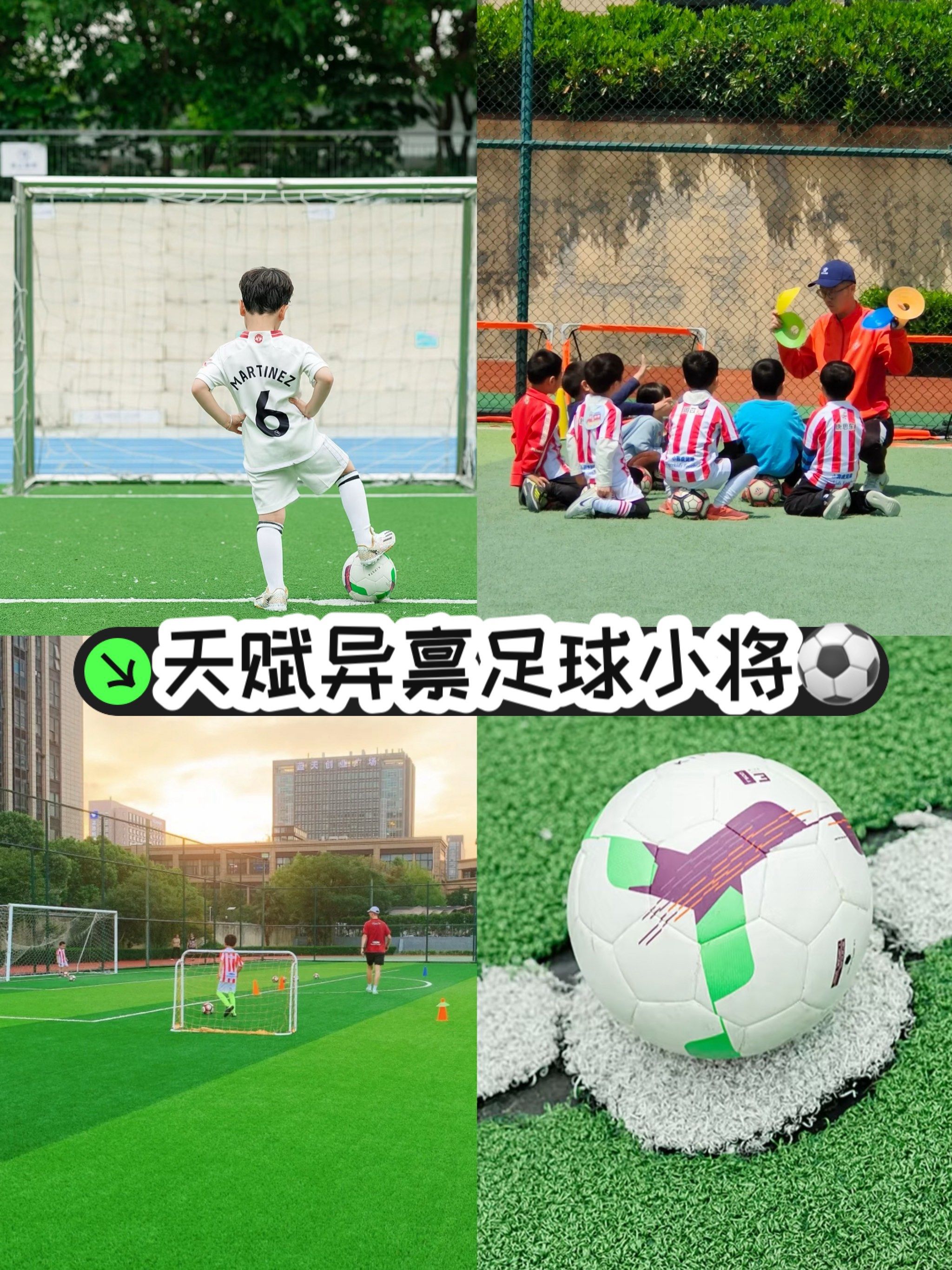 包含环保足球：球场如何减少碳足迹？的词条